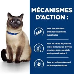 Hill's Prescription Diet Feline Z/D AB+ BOITES 24 X 156 Grs 10 Hill's Prescription Diet Feline Z/D AB+ BOITES 24 X 156 Grs -Animalerie 00052742039756 5 prescription diet chat z d boite