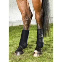 Back On Track Guêtre De Travail Postérieur M X 2 -Animalerie 8286295 2