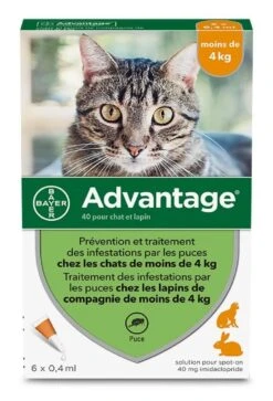 Advantage 40 Chat Et Lapin De 1 à 4 Kg 6 Pipettes