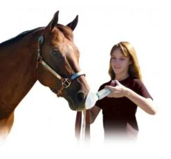 AeroHippus Pour Inhalateur Cheval 7 AeroHippus Pour Inhalateur Cheval -Animalerie aerohippus pour cheval2