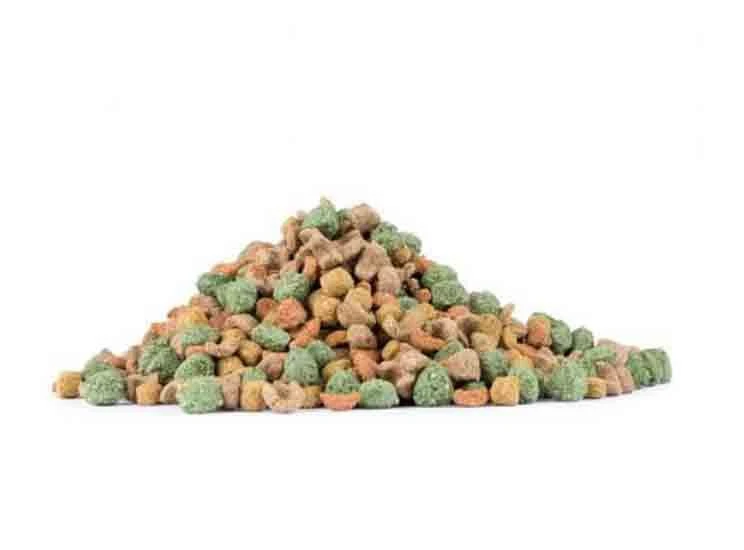 Care+ Cochon D'Inde 1.5 Kg 4 Care+ Cochon D'Inde 1.5 Kg – Image 2