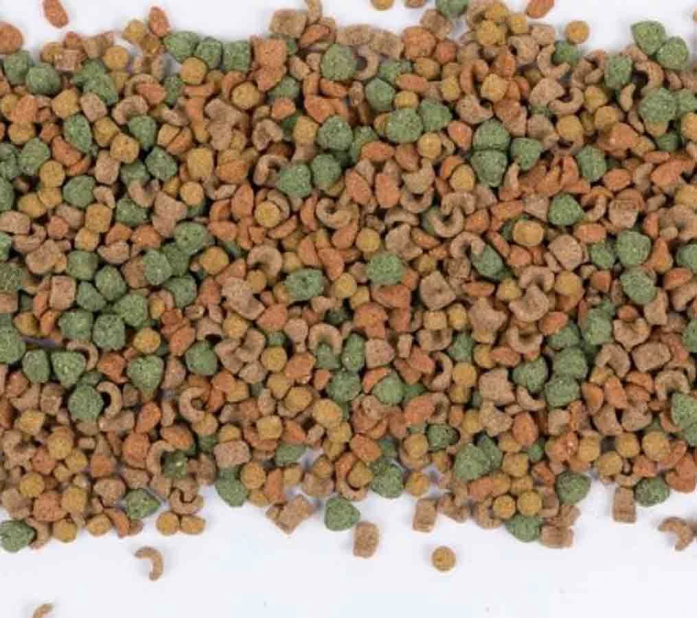 Care+ Cochon D'Inde 1.5 Kg 5 Care+ Cochon D'Inde 1.5 Kg – Image 3