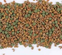 Care+ Cochon D'Inde 5 Kg -Animalerie care cochon d inde 5 kg3