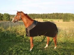 Chemise Polaire Supreme Back On Track 155 Cm - Destockage 7 Chemise Polaire Supreme Back On Track 155 Cm - Destockage -Animalerie chemise polaire supreme back on track 2 4 2 3