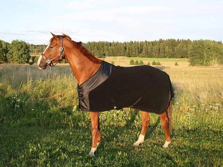 Chemise Polaire Supreme Back On Track 155 Cm - Destockage 5 Chemise Polaire Supreme Back On Track 155 Cm - Destockage – Image 3