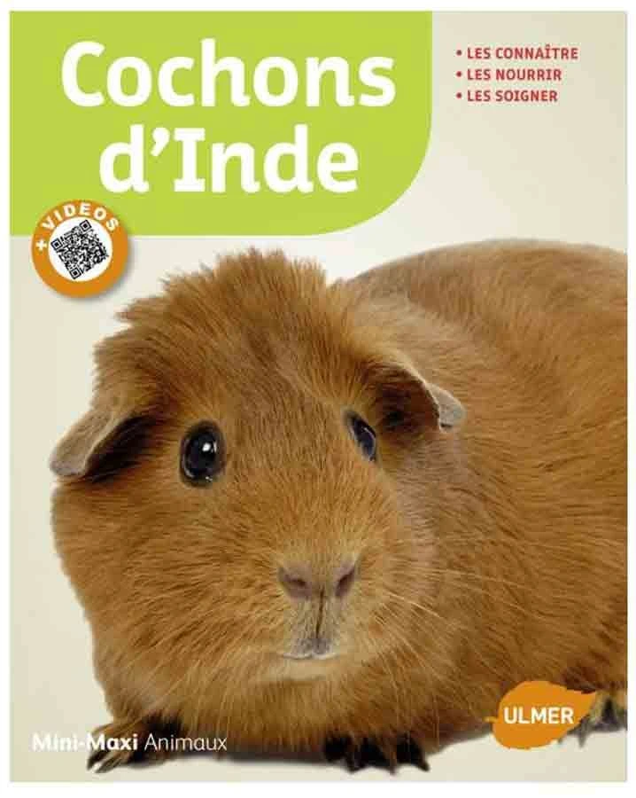 Livre - Cochons D'Inde 3 Livre - Cochons D'Inde