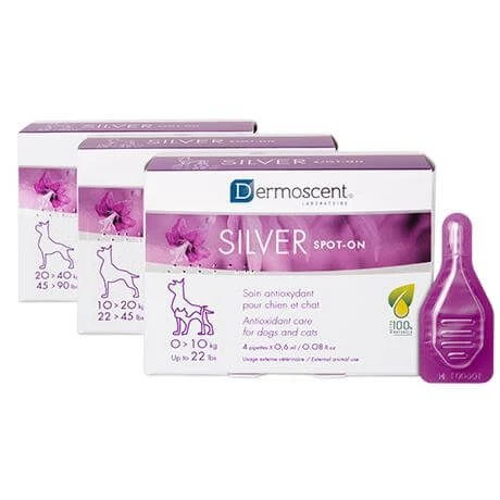 Dermoscent Silver Spot Chien 20-40 Kg 4 Pipettes - DLUO: 30/06/2023
