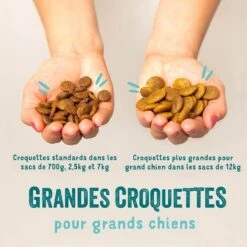Edgard & Cooper Poulet Frais & Saumon Sans Céréales Grand Chien Senior 12 Kg 14 Edgard & Cooper Poulet Frais & Saumon Sans Céréales Grand Chien Senior 12 Kg -Animalerie edgard cooper croquettes bio au boeuf et poulet frais chien adulte croquettes 1 3