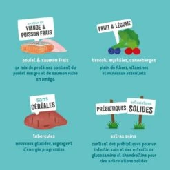 Edgard & Cooper Poulet Frais & Saumon Sans Céréales Grand Chien Senior 12 Kg 17 Edgard & Cooper Poulet Frais & Saumon Sans Céréales Grand Chien Senior 12 Kg -Animalerie edgard cooper croquettes bio au boeuf et poulet frais chien adulte ingr dients 1 3