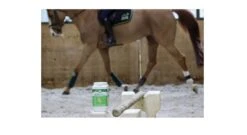 Ekyflex Arthro Evo 450 G -Animalerie ekyflex arthro evo travail cheval audevard 2