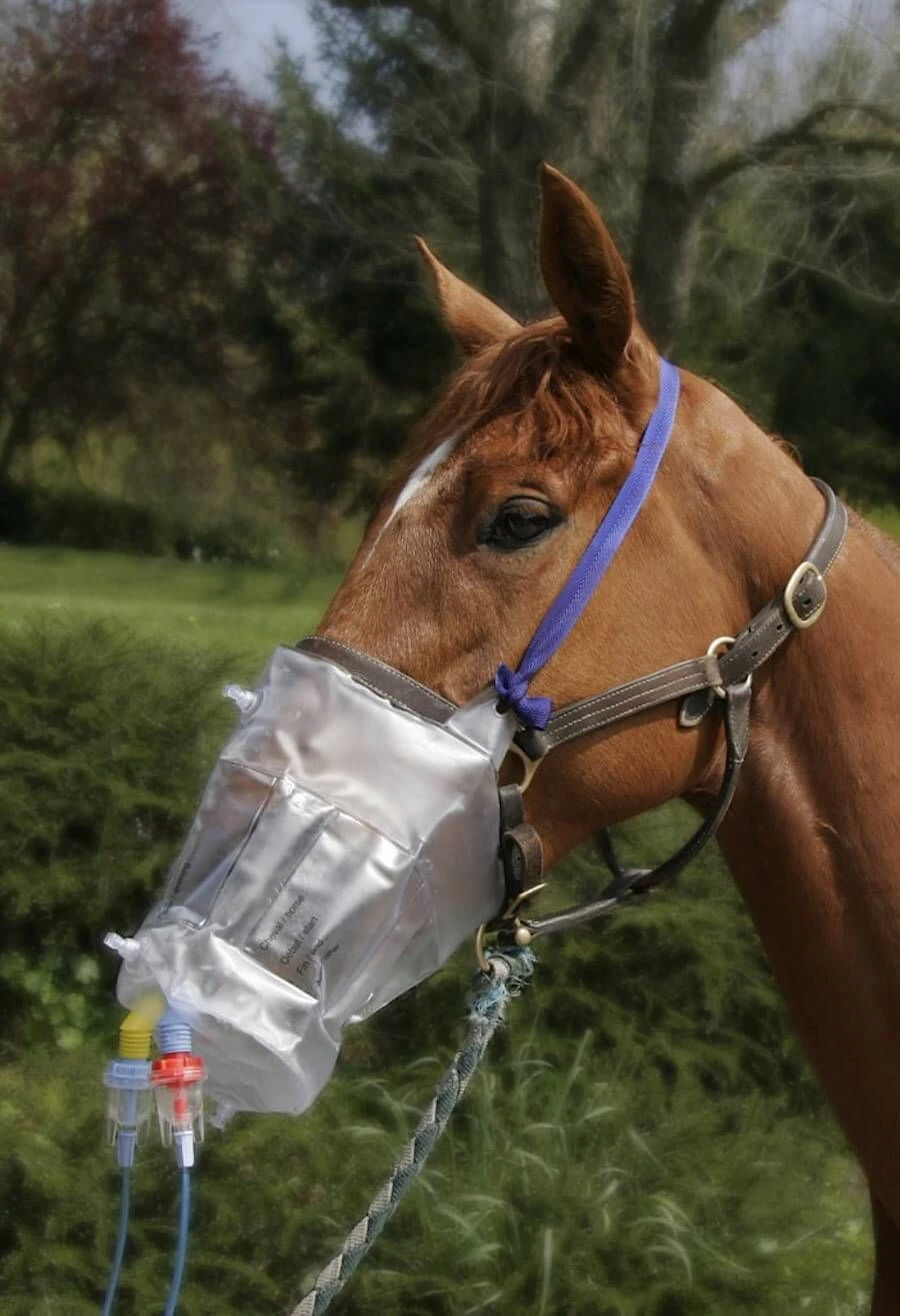 Greenpex Top Mask Pour Nébulisateur Horseneb 3 Greenpex Top Mask Pour Nébulisateur Horseneb