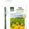 Hami Form Foin Au Pissenlit Spécial Rongeur 20 L 1 Hami Form Foin Au Pissenlit Spécial Rongeur 20 L -Animalerie hami form foin au pissenlit spe cial rongeur 20 l