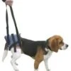 Harnais Handy Canis Pattes Arrières XL 1 Harnais Handy Canis Pattes Arrières XL -Animalerie handycanis arriere 1 1 1 1 1