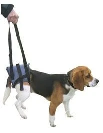 Harnais Handy Canis Pattes Arrières XL 3 Harnais Handy Canis Pattes Arrières XL