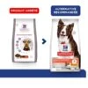 Hill's Science Plan VetEssentials Canine Healthy Digestive Biome Medium 10 Kg -Animalerie hill s science plan vetessentials canine healthy digestive biome medium 10 kg 2