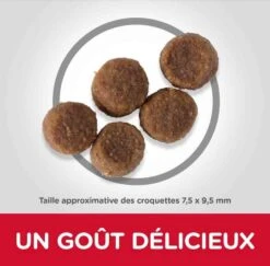 Hill's Science Plan Hill's Science Plan Canine Puppy Medium Agneau & Riz 14 Kg 6 Hill's Science Plan Hill's Science Plan Canine Puppy Medium Agneau & Riz 14 Kg -Animalerie hill s science plan canine puppy medium agneau riz 14 kg2