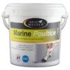 Horse Master Marine Poultice Argile Cheval 1,5 Kg -Animalerie horse master marine poultice argile cheval 1 5kg la compagnie des animaux 1 1