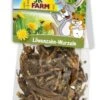 JR Farm Racine Pissenlit Rongeurs Lapins Nains 50 G 1 JR Farm Racine Pissenlit Rongeurs Lapins Nains 50 G -Animalerie jr farm racine de pissenlit 50 g