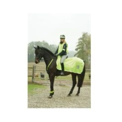 Kerbl Couverture Réfléchissante Cheval 135 Cm -Animalerie kerbl couverture reflechissante cheval 135 cm 2