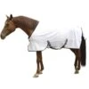 Kerbl Couverture Anti-mouches Pour Cheval 155 Cm 2 Kerbl Couverture Anti-mouches Pour Cheval 155 Cm -Animalerie kerbl couverture anti mouches pour cheval 1 1 1