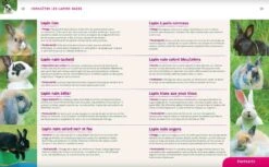 Livre - Lapins Nains 8 Livre - Lapins Nains -Animalerie lapins nains3