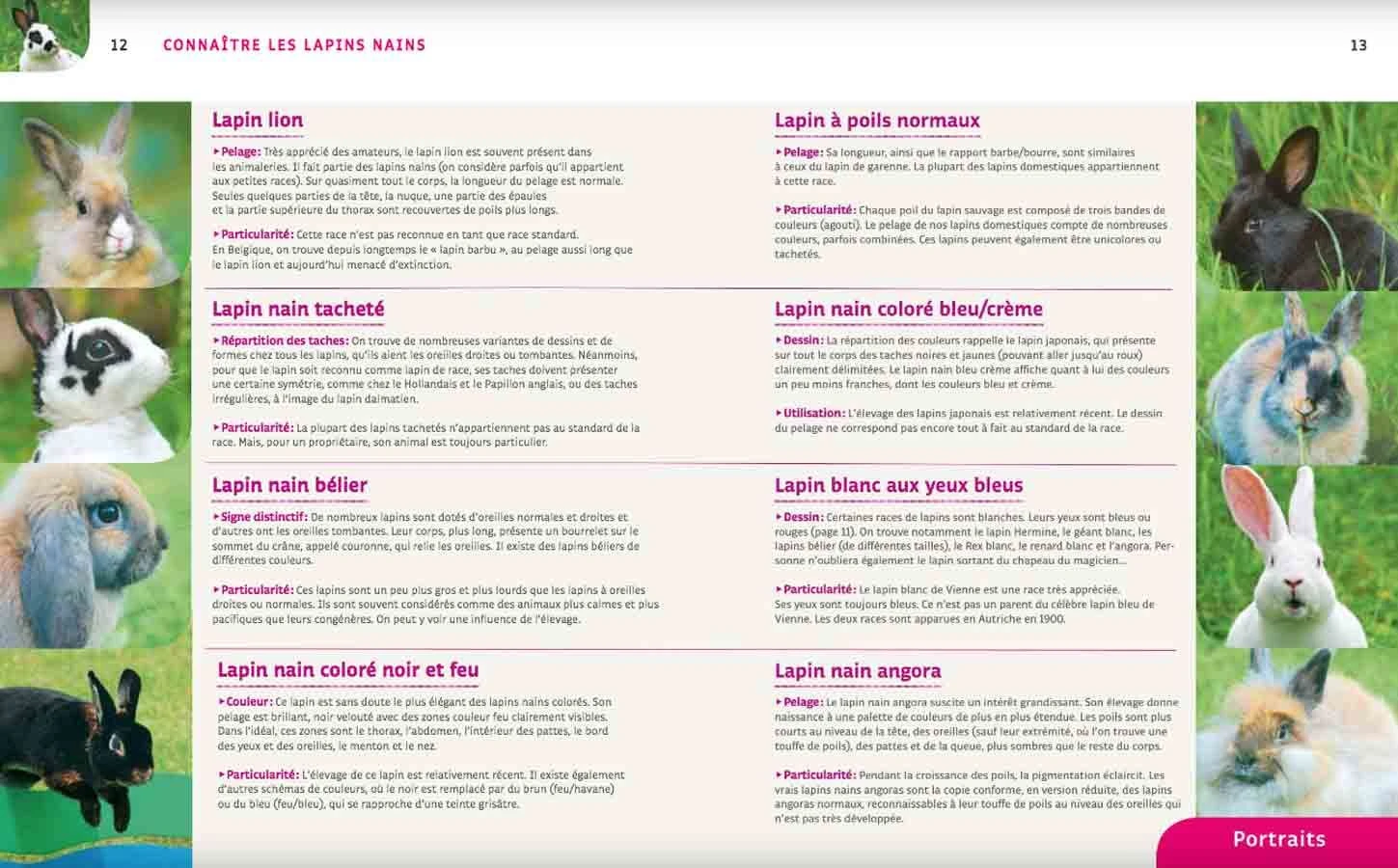 Livre - Lapins Nains 5 Livre - Lapins Nains – Image 3