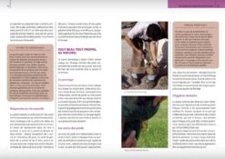Livre - La Bible Des Soins Naturels Pour Le Cheval, Le Poney Et L'âne -Animalerie livre la bible des soins naturels pour le cheval le poney et l a ne3