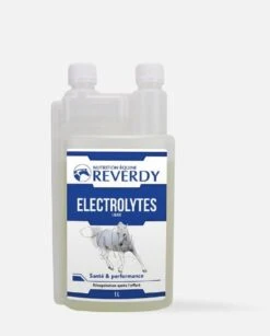 Reverdy Electrolytes Liquide 1 L