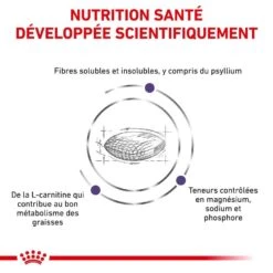 Royal Canin Vet Chat Neutered Satiety Balance 8 Kg 13 Royal Canin Vet Chat Neutered Satiety Balance 8 Kg -Animalerie royal canin vet chat neutered satiety balance 8 kg 3