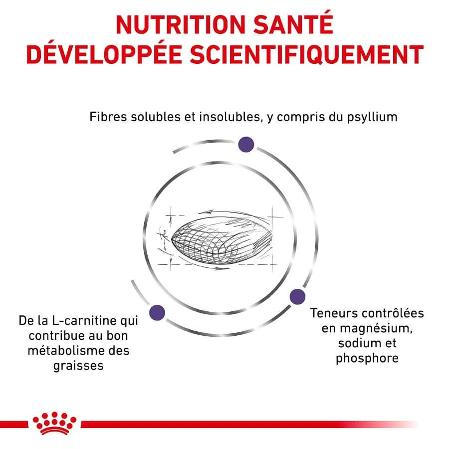 Royal Canin Vet Chat Neutered Satiety Balance 8 Kg 5 Royal Canin Vet Chat Neutered Satiety Balance 8 Kg – Image 3