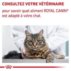 Royal Canin Vet Chat Neutered Satiety Balance 8 Kg 19 Royal Canin Vet Chat Neutered Satiety Balance 8 Kg -Animalerie royal canin vet chat neutered satiety balance 8 kg 9