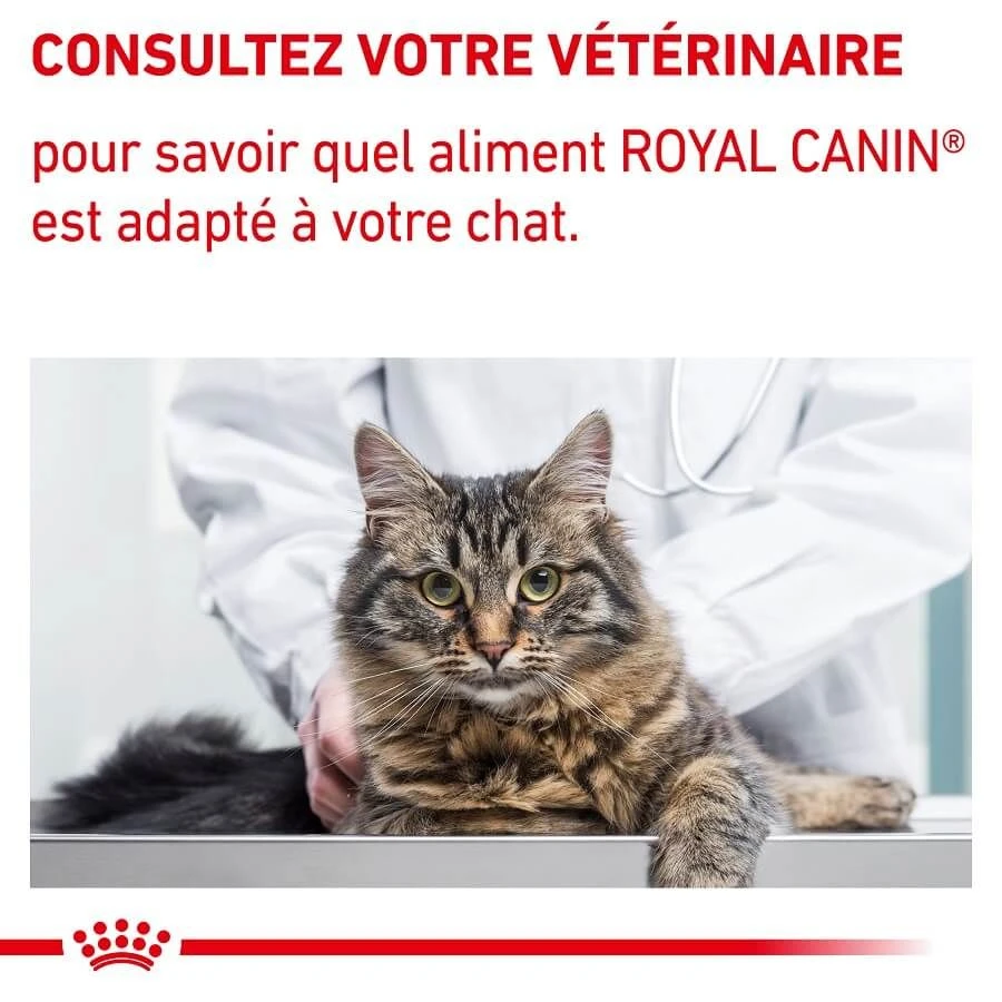 Royal Canin Vet Chat Neutered Satiety Balance 8 Kg 11 Royal Canin Vet Chat Neutered Satiety Balance 8 Kg – Image 9