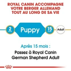 Royal Canin Berger Allemand Puppy 12 Kg -Animalerie royal canin berger allemand junior 2 1