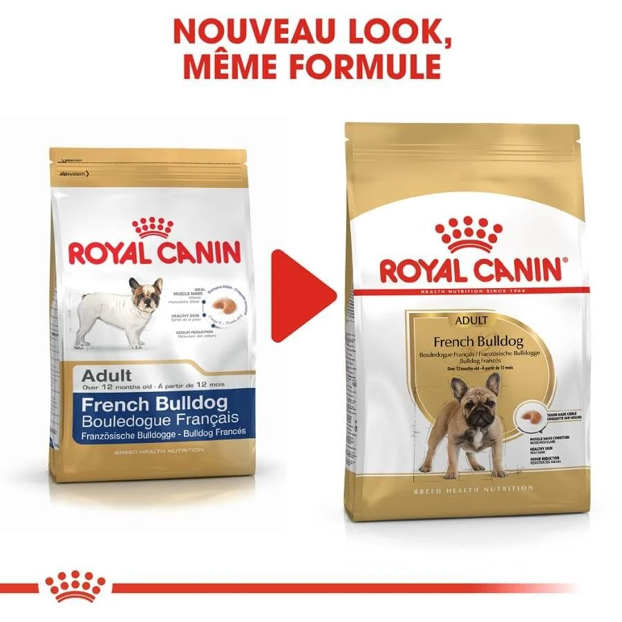 Royal Canin Bouledogue Français Adult 9 Kg 4 Royal Canin Bouledogue Français Adult 9 Kg – Image 2