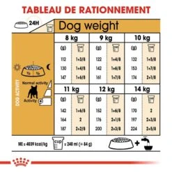 Royal Canin Bouledogue Français Adult 9 Kg 14 Royal Canin Bouledogue Français Adult 9 Kg -Animalerie royal canin bouledogue fran ais adult rationnement 1 1