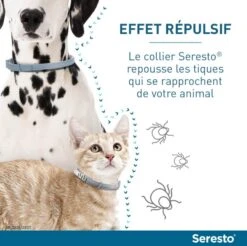 Seresto Collier Antiparasitaire Chat -Animalerie serestochatchien 1
