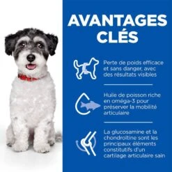 Hill's Science Plan Hill's Science Plan Perfect Weight Mobility Petit Chien 6 Kg -Animalerie sp mini 1