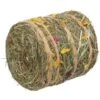 Trixie Rouleau De Foin Rongeurs 500 G 1 Trixie Rouleau De Foin Rongeurs 500 G -Animalerie trixie balle de foin fleurs melangees rongeurs 200 g