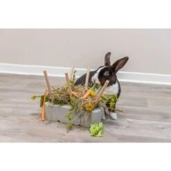 Trixie Mangeoire Pour Rongeurs 26 X 23 X 17 Cm -Animalerie trixie mangeoire pour rongeurs 26 x 23 x 17 cm 5