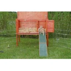 Trixie Rampe En Bois Pour Rongeurs 20 X 50 Cm 7 Trixie Rampe En Bois Pour Rongeurs 20 X 50 Cm -Animalerie trixie rampe en bois pour rongeurs 20 x 50 cm