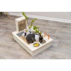 Trixie Station Mangeoire Pour Rongeurs 70 X 41 X 47 Cm -Animalerie trixie station mangeoire pour rongeurs 70 x 41 x 47 cm 10