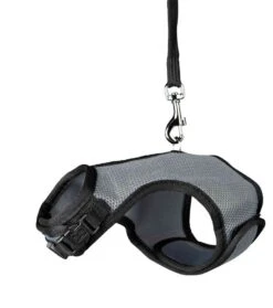 Trixie Harnais Soft Avec Laisse Pour Rongeur 14-19 Cm -Animalerie trixie harnais soft avec laisse pour rongeur lapin nains