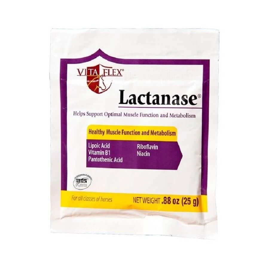 Vita Flex Lactanase Cheval 25 G 3 Vita Flex Lactanase Cheval 25 G