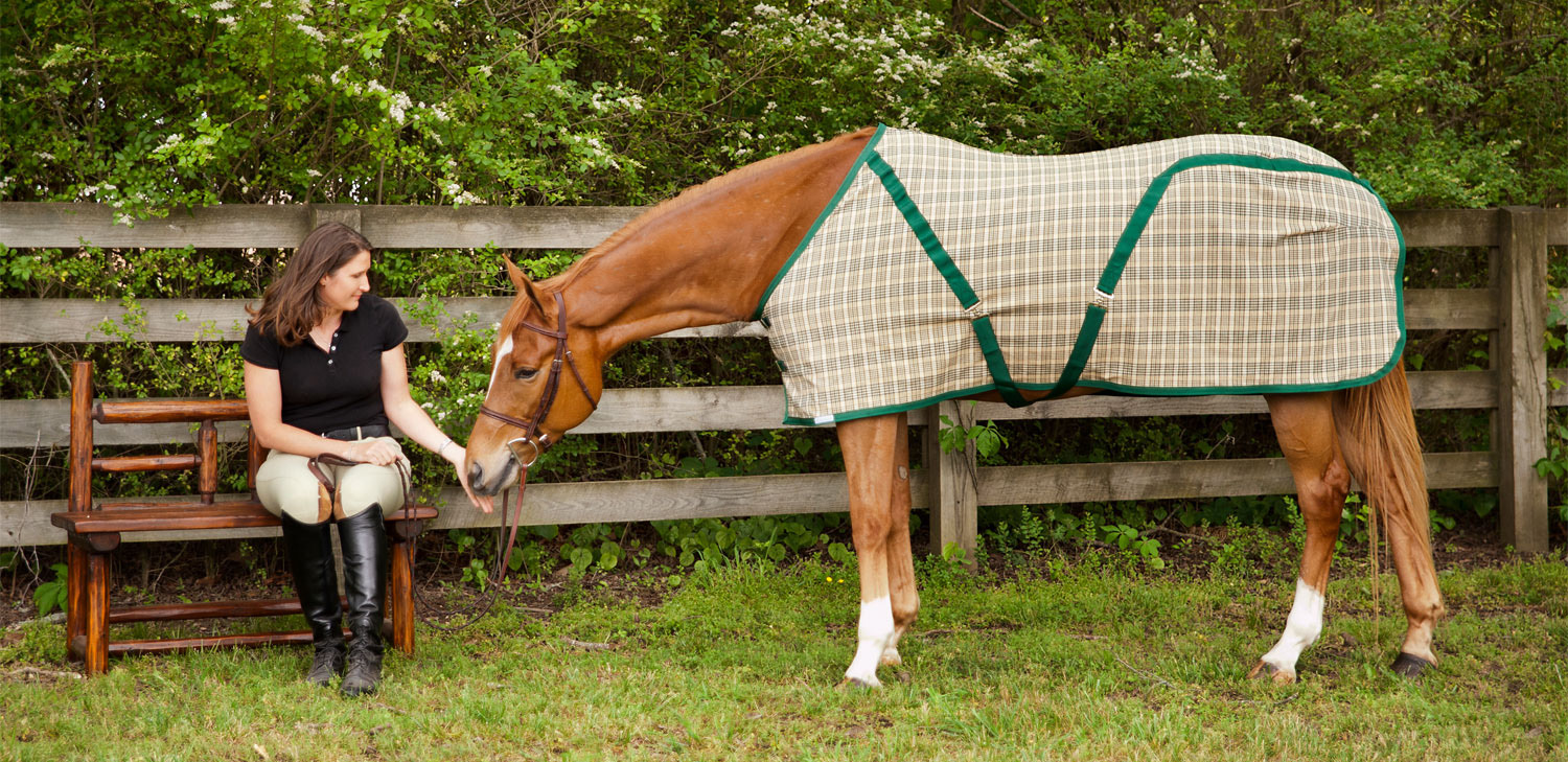 Animalerie -Animalerie 2